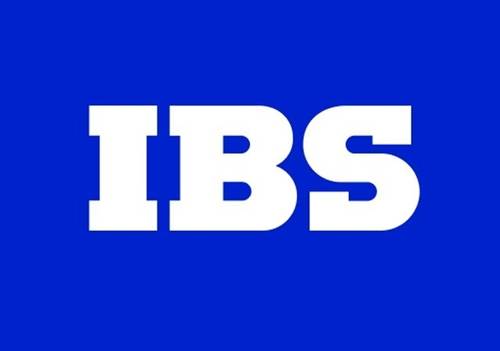 Логотип компании (Фото: официальная страница «IBS» на сайте ВКонтакте)