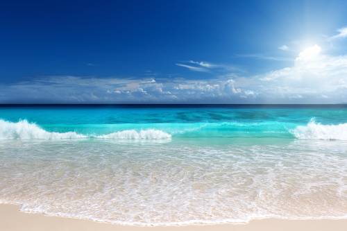 Пляж на Сейшельских островах
