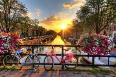 День велосипедиста в Нидерландах
