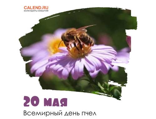 20 - Всемирный день пчел
