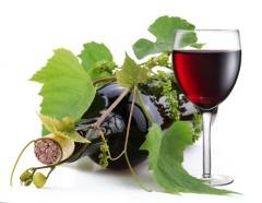 Трифон Зарезан — праздник виноградарей в Болгарии