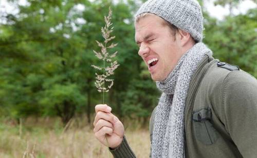 Всемирный день борьбы с аллергией