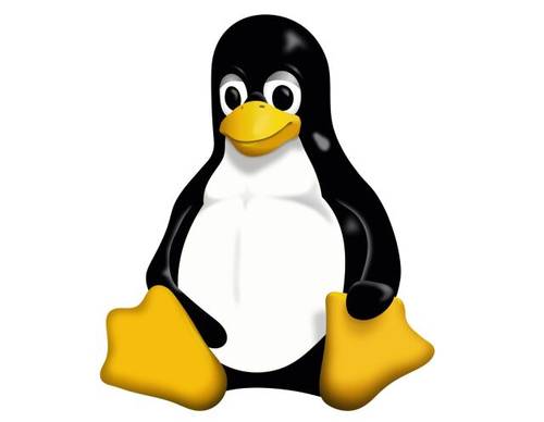 День рождения операционной системы Linux