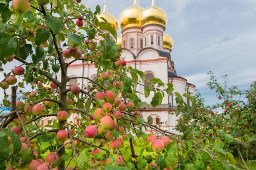 Церковные праздники август 2018 года. Источник фото: Shutterstock