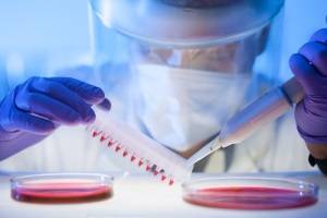 Георгий Гаузе – советский микробиолог (Фото: Matej Kastelic, по лицензии Shutterstock.com)