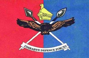 День сил обороны в Зимбабве
