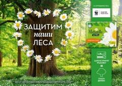 Naturella и WWF* России запускают новую волну кампании по защите лесов