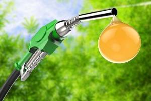 В Великобритании в продаже появилось «топливо из майонеза» – биодизель