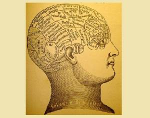 Доктор Галль представил книгу «Исследование нервной системы вообще и мозга в частности»