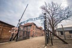 Советские войска освободили узников Освенцима