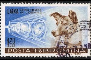 В СССР совершен запуск космического аппарата «Спутник-2» с собакой Лайкой на борту