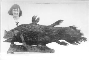 Близ южной части Африки была выловлена латимерия — самая древняя рыба на Земле